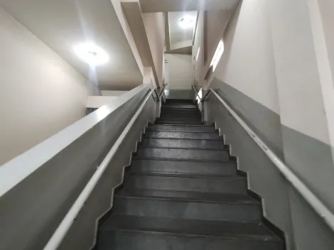imagem 3 - Apartamento - Padrão imagem 3 - Apartamento - Padrão