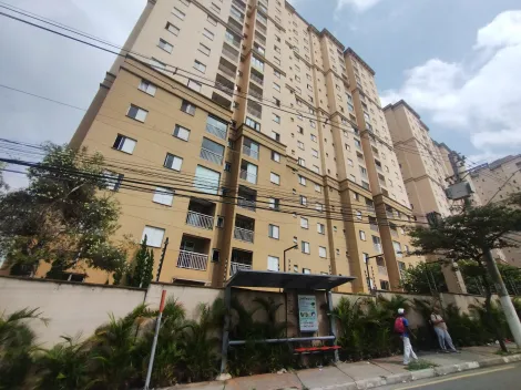imagem 1 - Apartamento mobiliado localizado no último andar no bairro Vila Yolanda com conforto garantido. imagem 1 - Apartamento mobiliado localizado no último andar no bairro Vila Yolanda com conforto garantido.