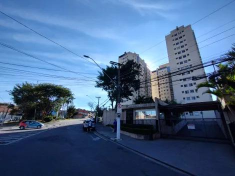 imagem 3 - Apartamento para locação  - 2 quartos -  Cidade das Flores  -  pronto para morar imagem 3 - Apartamento para locação  - 2 quartos -  Cidade das Flores  -  pronto para morar