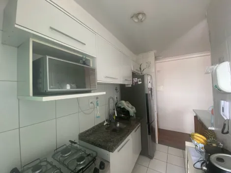 imagem 3 - Apartamento - Padrão imagem 3 - Apartamento - Padrão