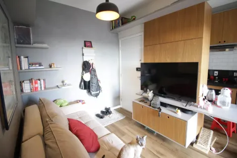 imagem 4 - Apartamento - Padrão imagem 4 - Apartamento - Padrão