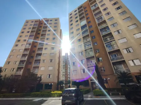 imagem 1 - Lindo Apartamento com 2 Dormitórios no Bairro Piratininga ? Osasco/SP imagem 1 - Lindo Apartamento com 2 Dormitórios no Bairro Piratininga ? Osasco/SP
