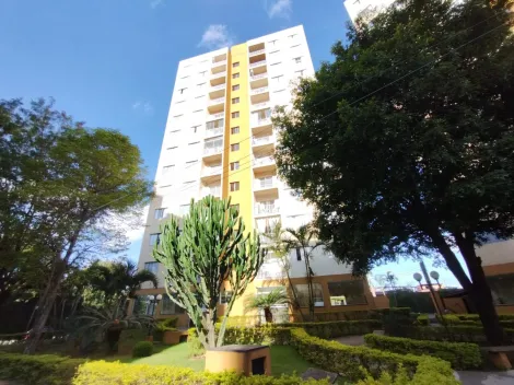 imagem 2 - Lindo Apartamento com 2 Dormitórios no Bairro Piratininga ? Osasco/SP imagem 2 - Lindo Apartamento com 2 Dormitórios no Bairro Piratininga ? Osasco/SP