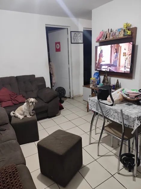 imagem 5 - Apartamento - Padrão imagem 5 - Apartamento - Padrão